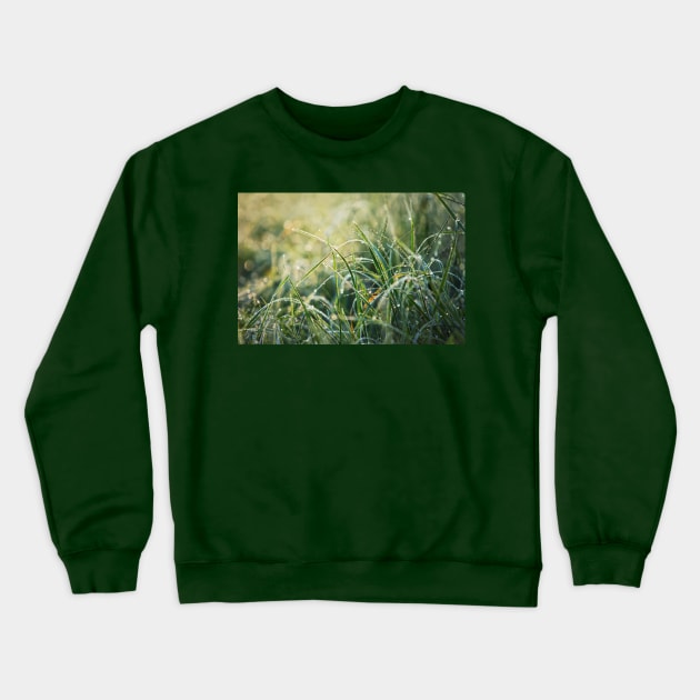 grass dew Crewneck Sweatshirt by 1STunningArt